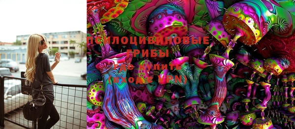 прущая мука Алзамай