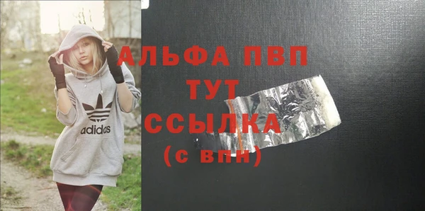 стаф Новосибирск